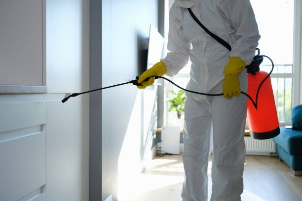 Best Commercial Mold Remediation in Buna, TX