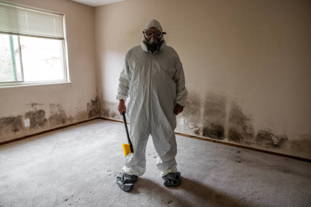 Best Insurance-Related Mold Remediation in Buna, TX